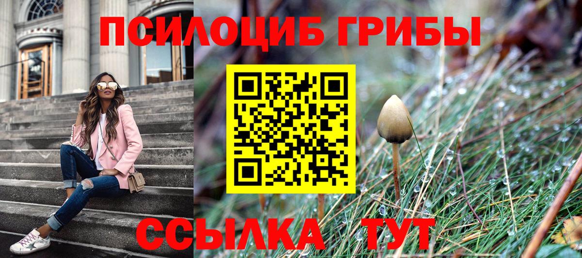 Псилоцибиновые грибы прущие грибы  купить наркоту  Симферополь  Вход с VPN 